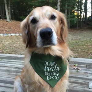 Dog Bandana - Dear Santa Define Good - Large